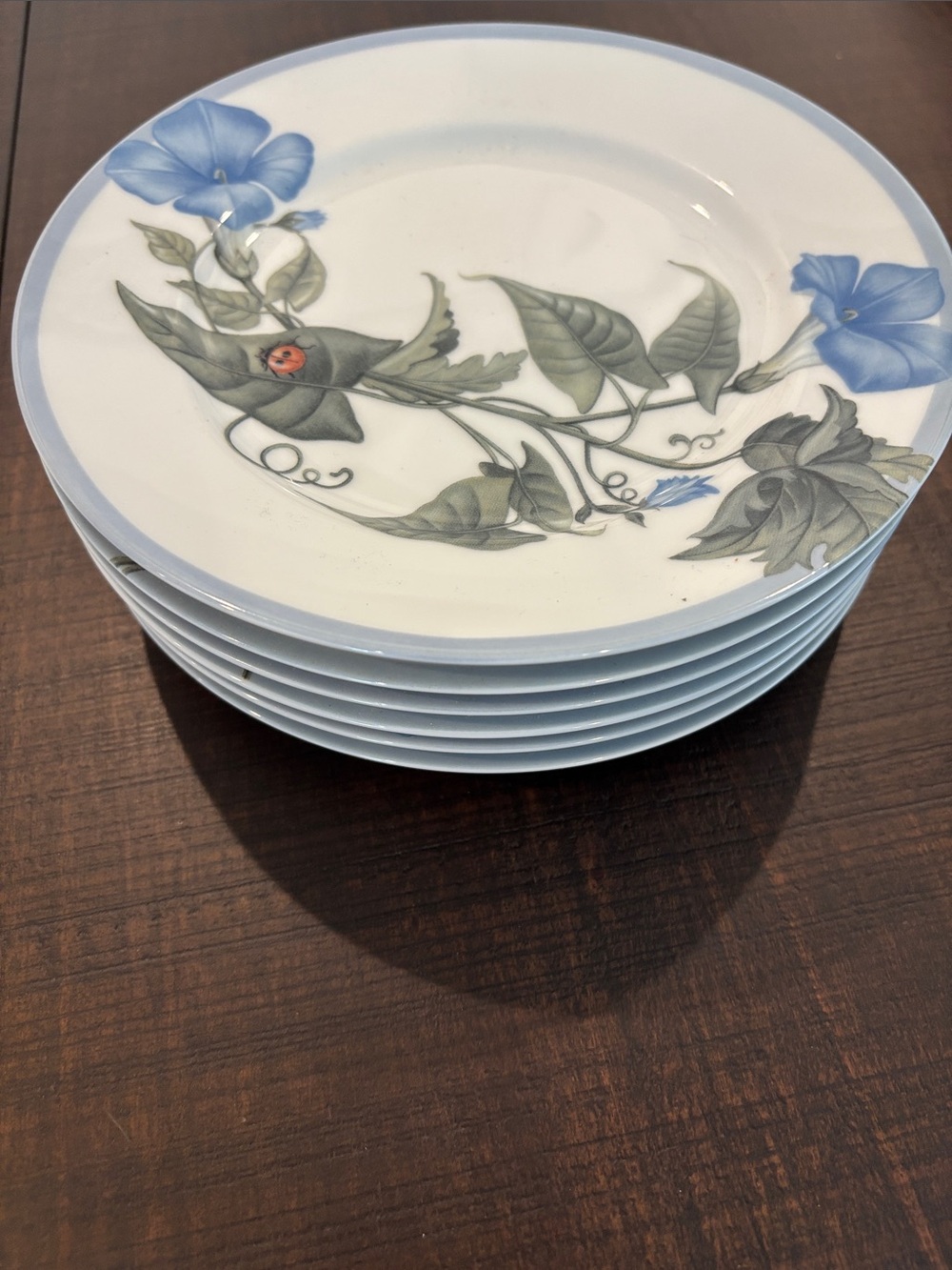 Williams Sonoma Summer Studies Salad Plates Set of 6 Morning Glory Botanical Mad